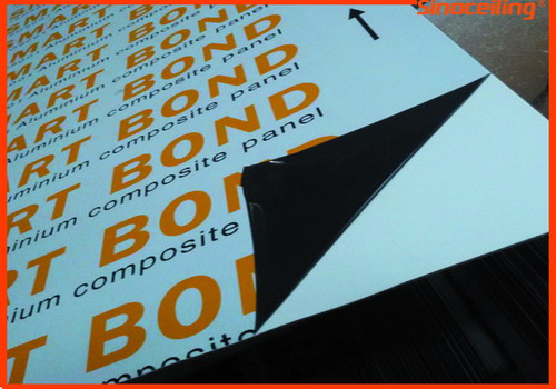 ACP Advertising Panel