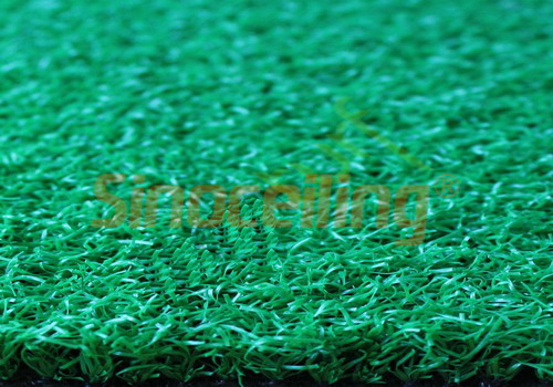 Artificial Grass, Turf