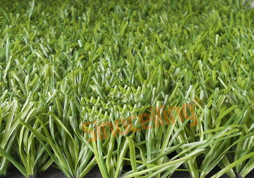 Artificial Grass, Turf
