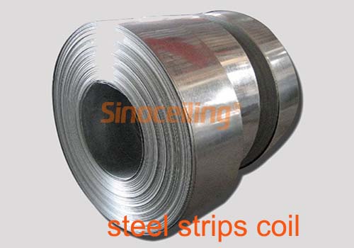 GI Steel Coil